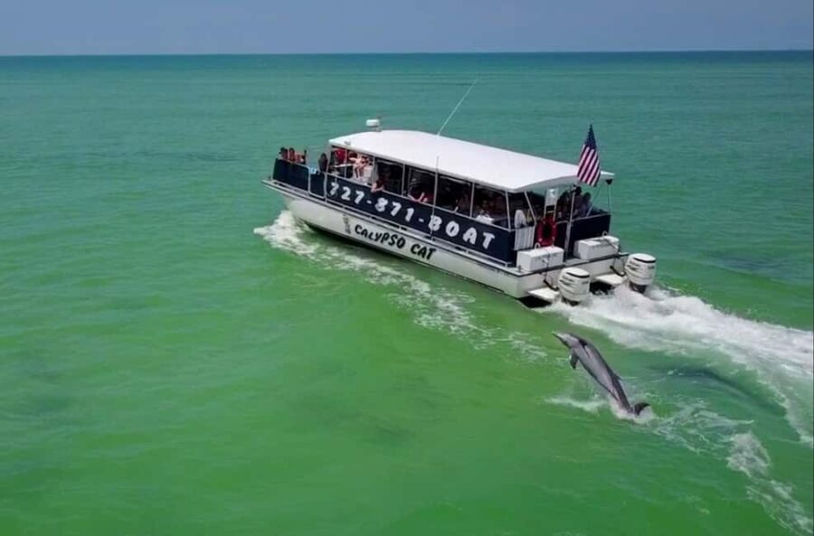 4 Hour Egmont Key Island Tour With Dolphins & Snorkeling - Who Should Consider This Tour?
