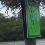 4 Hour Keewaydin Island Beach Tour - Practical Details and Considerations