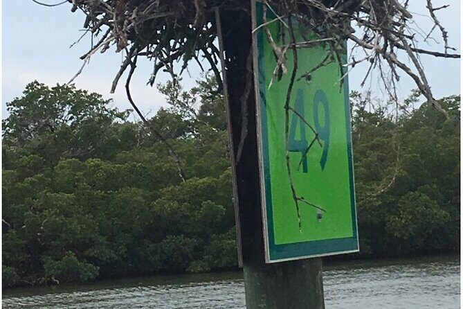 4 Hour Keewaydin Island Beach Tour - Practical Details and Considerations