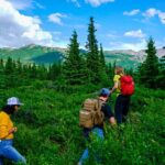 4 Hour Off-Trail Hiking Tour in Denali - The Educational Element