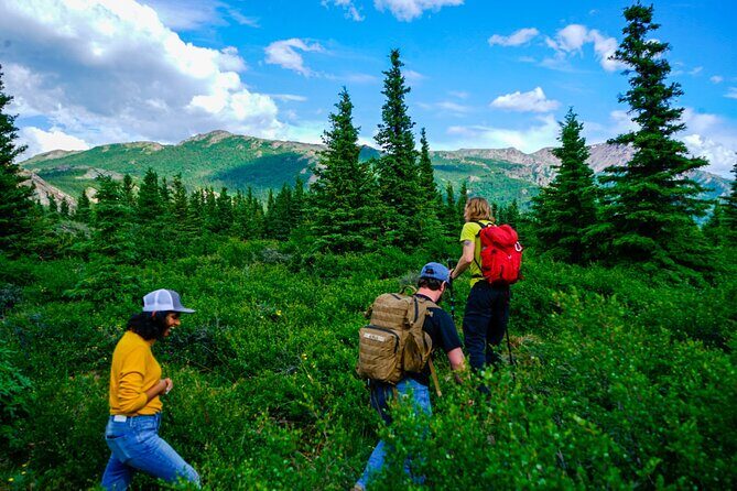4 Hour Off-Trail Hiking Tour in Denali - The Educational Element