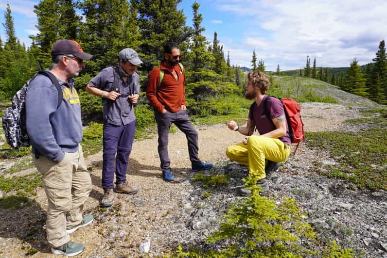 4 Hour Off-Trail Wilderness Wonders Tour in Denali - Who Will Love This Tour