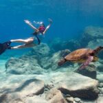 4 hour Private Custom Kayak Tour Lahaina - The Sum Up