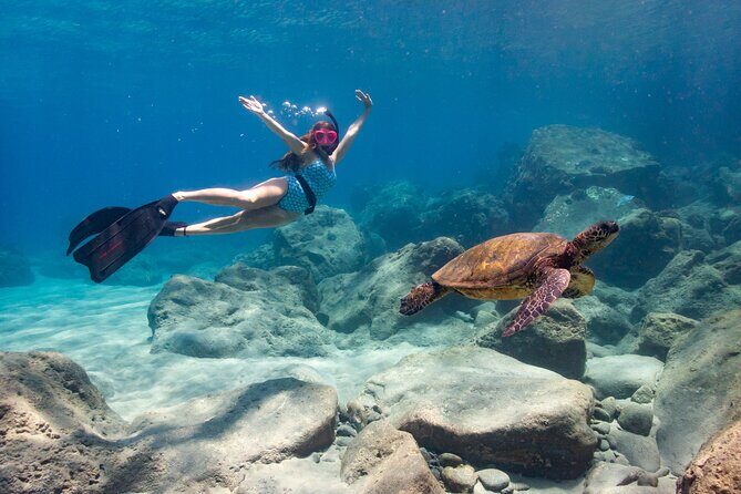 4 hour Private Custom Kayak Tour Lahaina - The Sum Up