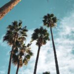 4-Hour Private Haunted Hollywood Tour - The Experience and Its Value