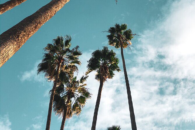 4-Hour Private Haunted Hollywood Tour - The Experience and Its Value