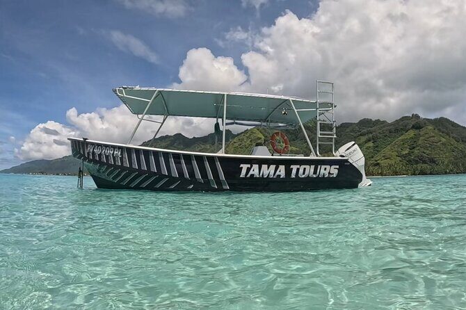 4 Hour Private Humpback Whales Encounter in Moorea - What Makes This Tour Special