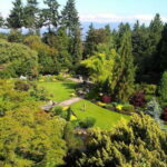 4-Hour Private Tour of Vancouver's Gardens - Who This Tour Suits Best