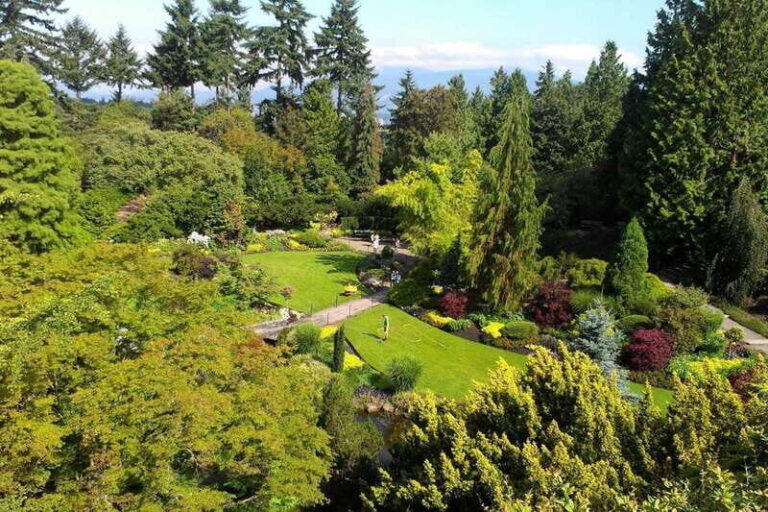 4-Hour Private Tour of Vancouver's Gardens - Who This Tour Suits Best