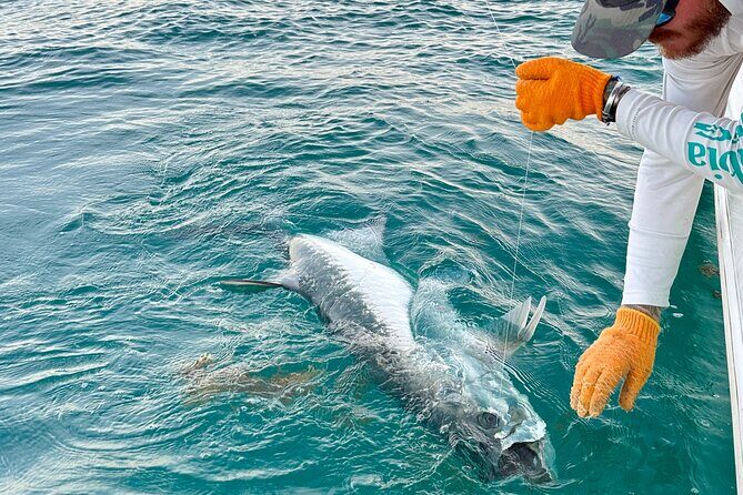 4 Hour Sunset Seasonal Tarpon Charter from Key West - The fishing focus: tarpon and more