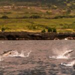 4 Hour Super-Raft Snorkeling Experience in Kailua-Kona - Who Should Book This Tour?