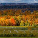 4-Hour Traverse City Sunset Wine Tour: 3 Wineries on Old Mission Peninsula - Why the 4-Hour Traverse City Sunset Wine Tour Stands Out