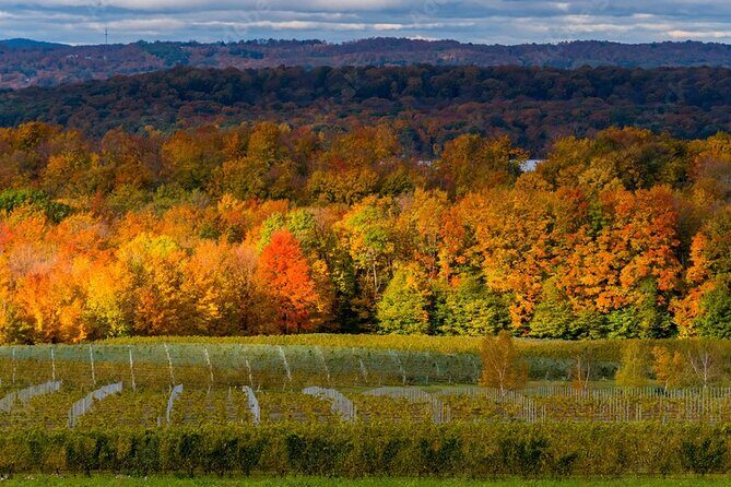 4-Hour Traverse City Sunset Wine Tour: 3 Wineries on Old Mission Peninsula - Why the 4-Hour Traverse City Sunset Wine Tour Stands Out