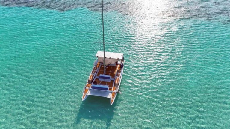 4 Hour Turtle Sanctuary Experience on a Luxury Catamarán - Who Is This Tour Best For?