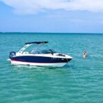 4 Hours Private Boat Tour To Egmont Key State Park - What’s Included and What to Consider