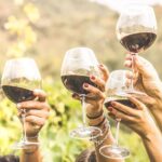 4 Hours Private Wine Tour in Sedona - Practical Considerations