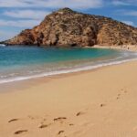4 Hours Snorkeling Tour in Cabo San Lucas and Corridor - Who Should Consider This Tour?