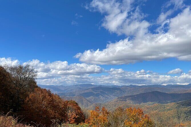 4 Hr Maggie Valley Slingshot Automatic Rental - Why This Experience Is Worth Considering