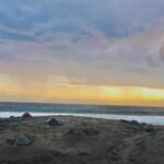 4-in-1 Tour - Mazunte, Cacao Factory & Turtle Spawn/Release - The Practical Side: Cost, Duration & Tips