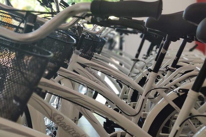 4 to 7 Day Beach Cruiser Rental (Up to 7 Days, includes Ulock) - What to Expect During Your Rental Period