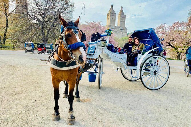 45 min Long VIP Central park carriage ride - The Experience: What You Can Expect