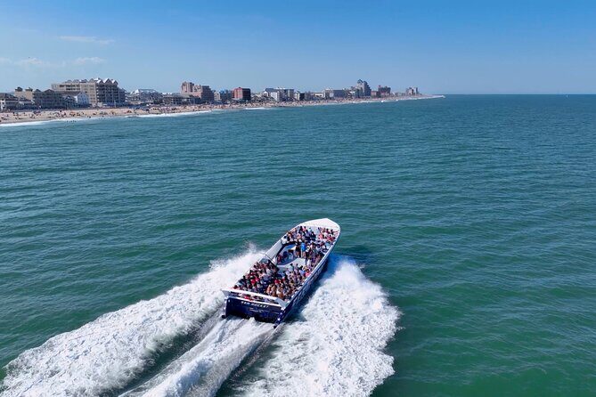 45-Minute Sea Rocket Speed Boat & Dolphin Cruise in Ocean City MD - Wildlife Encounters: Dolphins and More