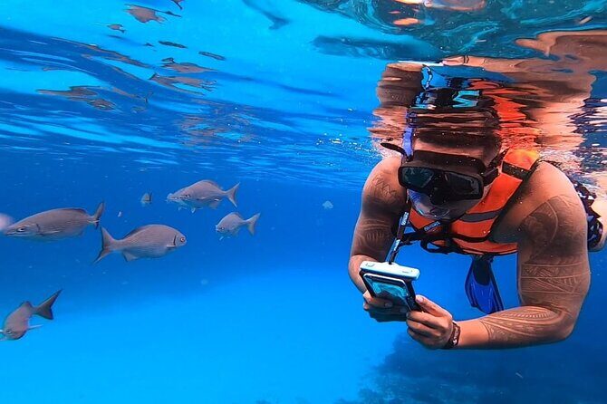 4H Luxury 44' Catamaran All-Inclusive in Tulum & Playa del Carmen - Who Is This Tour Best For?