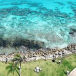 4x1 Magical tour. Tulum, Coba, a cenote & Playa del Carmen. Lunch included. - What’s Included and What’s Not