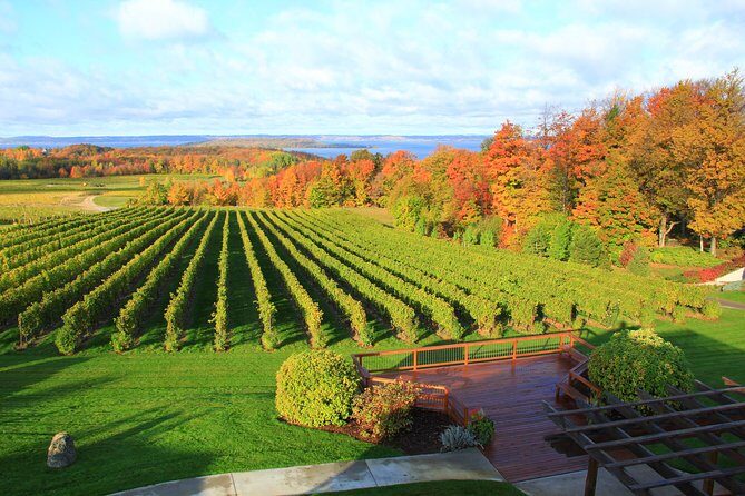 5-Hour Traverse City Wine Tour: 4 Wineries on Old Mission Peninsula - Why This Tour Is a Great Choice