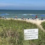 5-Hour Wilmington River to Sea E-Bike Self-Guided Tour - What to Expect on the Route