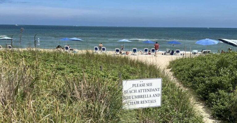 5-Hour Wilmington River to Sea E-Bike Self-Guided Tour - What to Expect on the Route