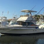 5-Hours Private Fishing Experience in Cruiser in Cabo San Lucas - Whats Included and What Isn’t