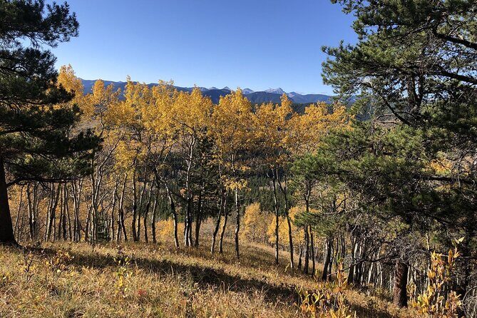 5 hours Winter Wonderland Guided Hike to Fullerton Loop - FAQs