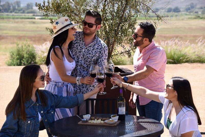 5 wines Tastings with Tour in Valle de Guadalupe Winery - Who Should Consider This Tour?