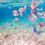 5H Private 44' Catamaran All-Inclusive - Tulum & Playa del Carmen - The Experience in Detail