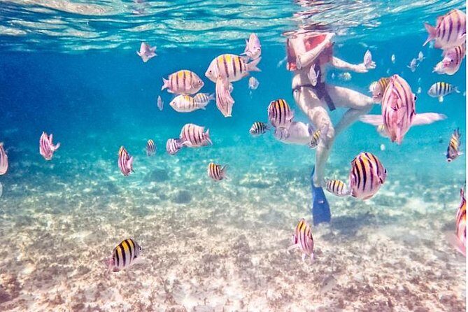 5H Private 44' Catamaran All-Inclusive - Tulum & Playa del Carmen - The Experience in Detail