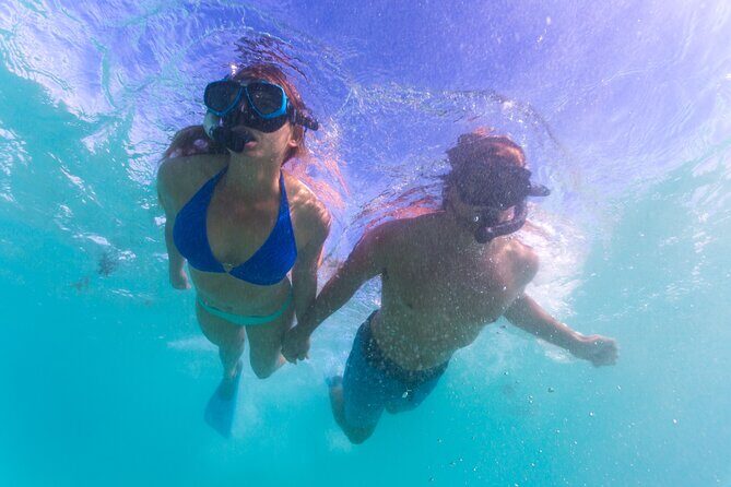 6-Day Coral Coaster from Perth to Exmouth One-Way via Monkey Mia Ningaloo Reef - Who Should Consider This Tour?