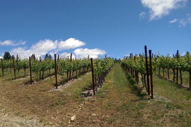 6 Hour Napa or Sonoma Wine Tour in Private Limousine - The Real Value: Is It Worth It?