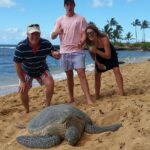 6-Hour Private Customized Luxury Convertible Tour of Oahu's North Shore - Exploring the Beaches and Surf Spots