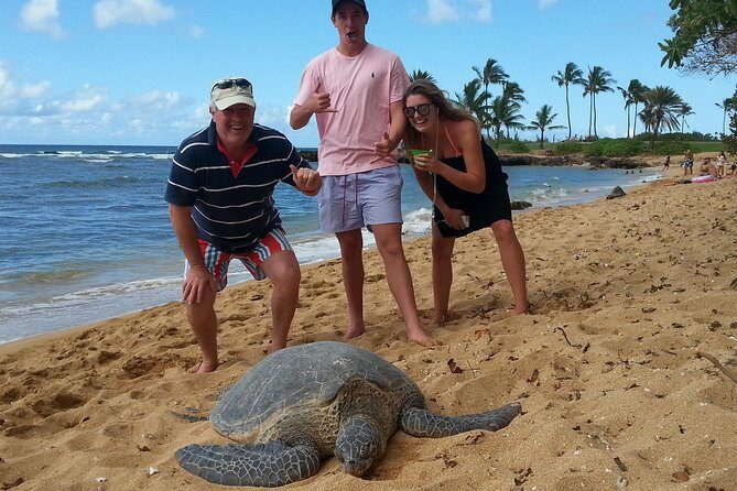 6-Hour Private Customized Luxury Convertible Tour of Oahu's North Shore - Exploring the Beaches and Surf Spots