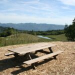 6-Hour Private Wine Country Tour of Napa in Crossover SUV (up to 6 people) - The Value of a Private, Customizable Tour