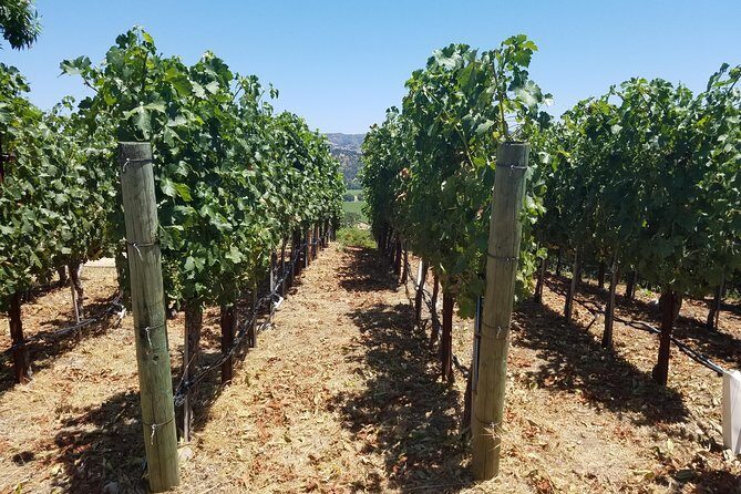 6 Hour Private Wine Country Tour (Sedan, SUV or Limo) - The Itinerary: What You Can Expect