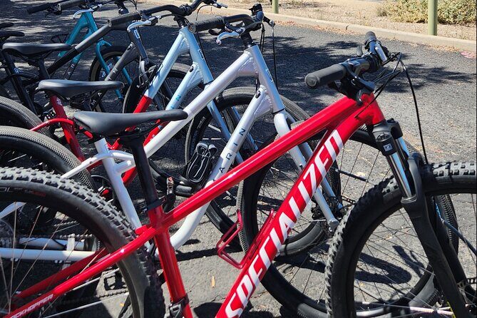 6-Hour Regular Bike Rental From Tucson - What to Expect from the Bike Rental Experience
