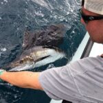 6 hour trip - The Fish and the Experience