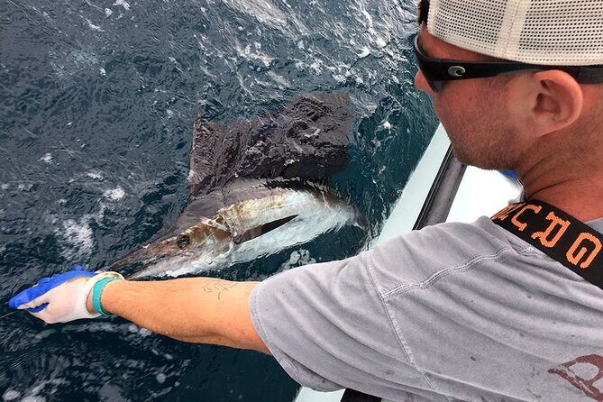 6 hour trip - The Fish and the Experience