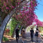 6 Hour Welcome to Brisbane Private Sightseeing Private Tour - Breaking Down the Itinerary