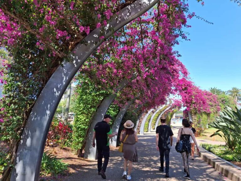 6 Hour Welcome to Brisbane Private Sightseeing Private Tour - Breaking Down the Itinerary