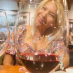 6 Hours Private 6 passenger SUV for Napa or Sonoma Wine Tours - What Real Travelers Say (From the Reviews)