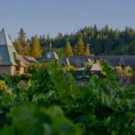 6 Hours Private Wine Tour in Healdsburg Featuring Coppola Winery - Who Should Consider This Tour?
