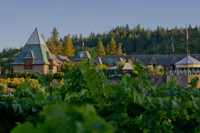 6 Hours Private Wine Tour in Healdsburg Featuring Coppola Winery - Who Should Consider This Tour?